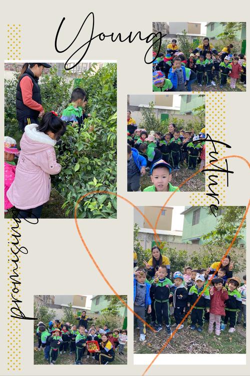 Lang Quân Không Như ý